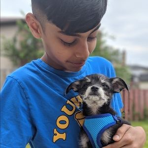 Meet your Posher, Jaiman